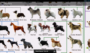 Dog Breeds screenshot 5