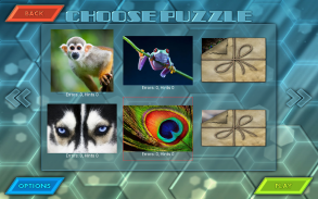 HexLogic - Zoo screenshot 13