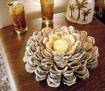 DIY Seashell Craft Ideas screenshot 1