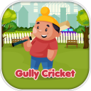 Gully Cricket Battle