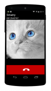 panggilan kucing palsu screenshot 0