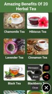 Amazing Health Benefits of 20 Herbal Tea screenshot 1