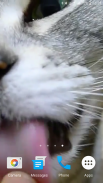 Kitty Licks Screen screenshot 6