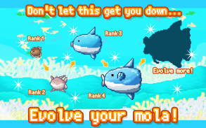 Survive! Mola mola! screenshot 6