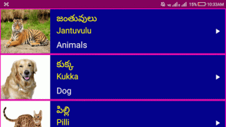 Learn Telugu From English screenshot 0