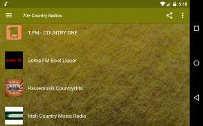 70+ Country Radios screenshot 1