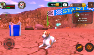 Jack Russell Terrier Simulator screenshot 16