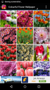 Colourful Flower Hd Wallpaper screenshot 2