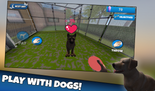 Dog & Cat Shelter Simulator 3D screenshot 2