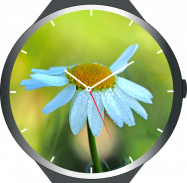 Flowers Watch Faces screenshot 5