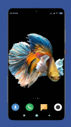 Betta Fish Wallpaper HD screenshot 6