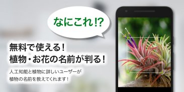 GreenSnap - 植物・花の名前が判る写真共有アプリ screenshot 3