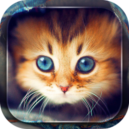 Gambar Animasi Kucing Bergerak 3.5 Unduh APK untuk Android Aptoide