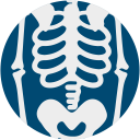 Anatomy notes:Abdomen & Pelvis