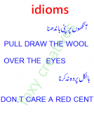 Idioms with Urdu trans. screenshot 3