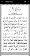 Surat Yasin & Tahlil Terjemahan (Offline) screenshot 7