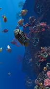 Ocean Aquarium screenshot 17