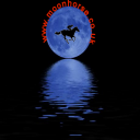 Moonhorse Horse Ratings - Baixar APK para Android | Aptoide