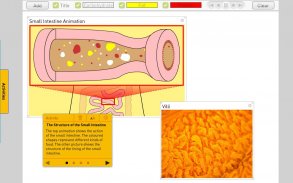 Digestion screenshot 5