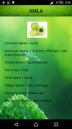 Medicinal Plants and Its Uses screenshot 8