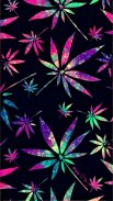 Weed Joint Wallpapers HD : 200+ Quailty Pictures screenshot 5