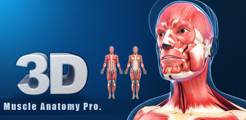 Anatomy pro. Voka Anatomy Pro.