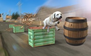 Dog Stunts & Simulator 3D - Crazy Dog Games screenshot 7