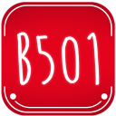 B501 Icon