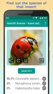 InsectID - Identify Insects screenshot 8