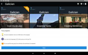 Galician Language Tests screenshot 17
