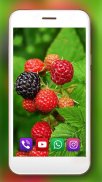 Forest Berries and Mushrooms Live Wallpaper screenshot 1