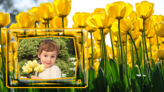 Marcos de fotos de tulipanes screenshot 0