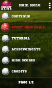 Blind Cricket screenshot 10