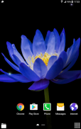 Tropical Flower Live Wallpaper screenshot 2