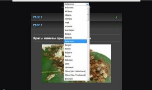 accurate bait freshwater fish screenshot 6