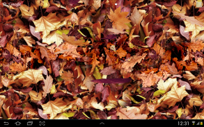 3D Güz yaprakları screenshot 1