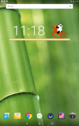 Panda Widget screenshot 2