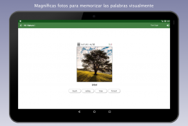 Aprender Vocabulario Inglés screenshot 1