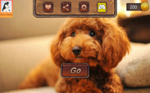 Teddy Dog Simulator screenshot 14
