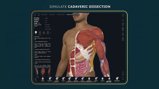 Complete Anatomy 2024 screenshot 3