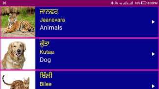 Learn Punjabi From English screenshot 5