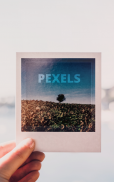 Pexels: HD+ videos & photos screenshot 14