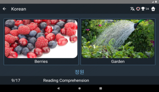 Korean Language Tests screenshot 5