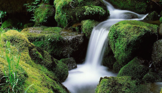 Nature Backgrounds HD screenshot 1