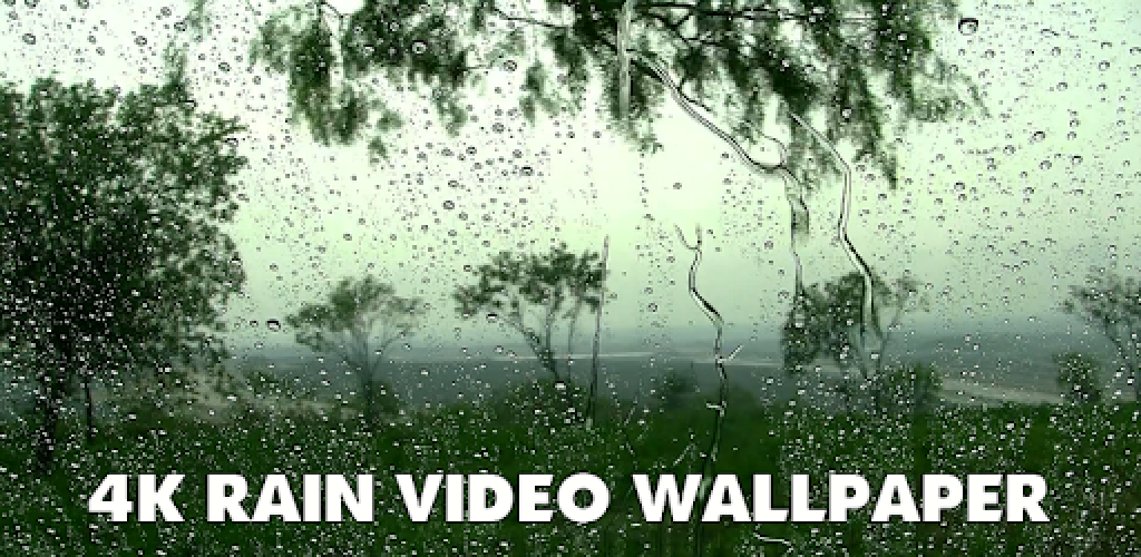 Live Wallpaper 4k Rain. Between the Raindrops. K Rain склад. Wallpaper 4k Rainy Dwnld. K rain