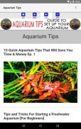 Aquarium Tips - Guide To Set Up Your Aquarium screenshot 13