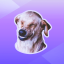Flappy Dawg Icon