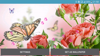 Butterflies Live Wallpaper screenshot 9