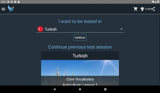 Turkish Language Tests screenshot 12