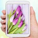 Flowers live wallpaper free Icon